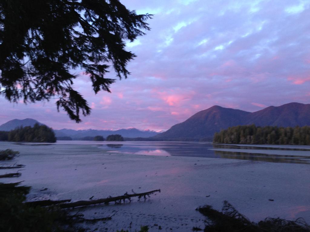 Black Bear Guesthouse Tofino Eksteriør billede